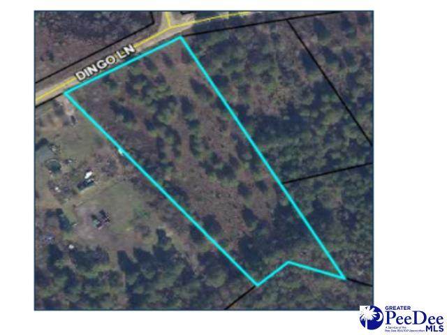 TBD Dingo Lane - Photo 1