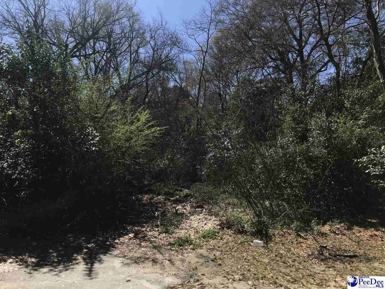 660 Miriam Ave - Photo 1