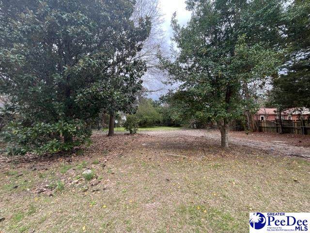 3516 Leigh Lane - Photo 1
