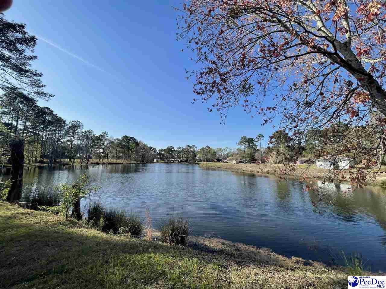 3141 Winburn Drive - Photo 1