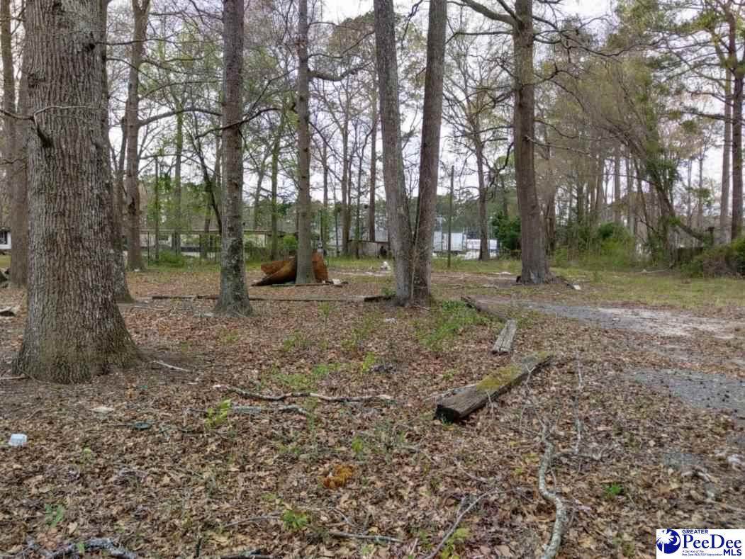 143 Circle Lane - Photo 1