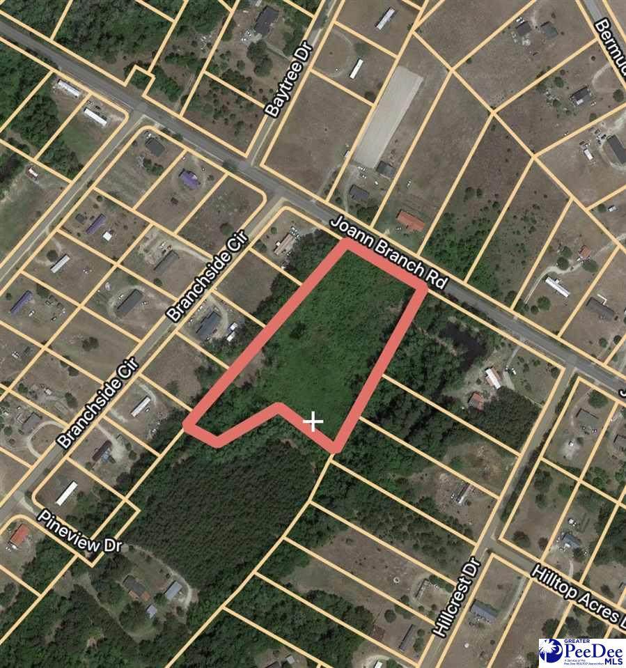 Lot 84 & 85 Joann Branch Road - Photo 1