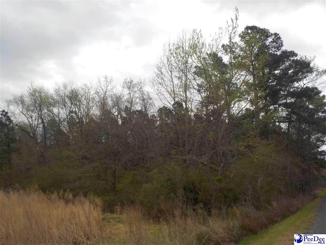 TBD Pearson Road - Photo 1