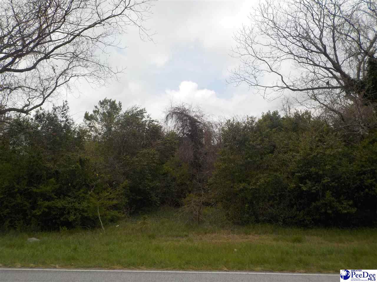 2109 Highway 381 - Photo 1