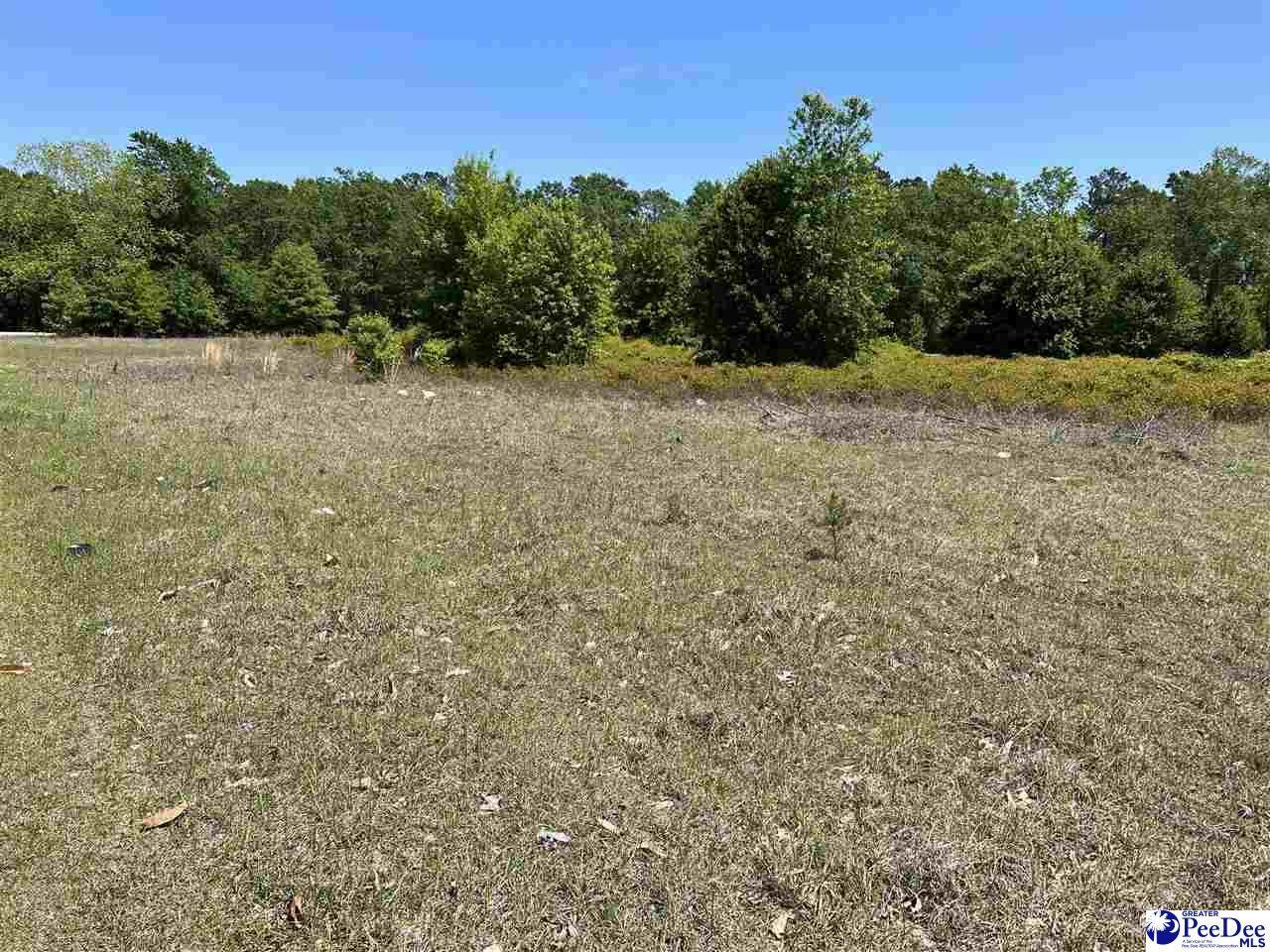 Diamond Branch Rd - Photo 1