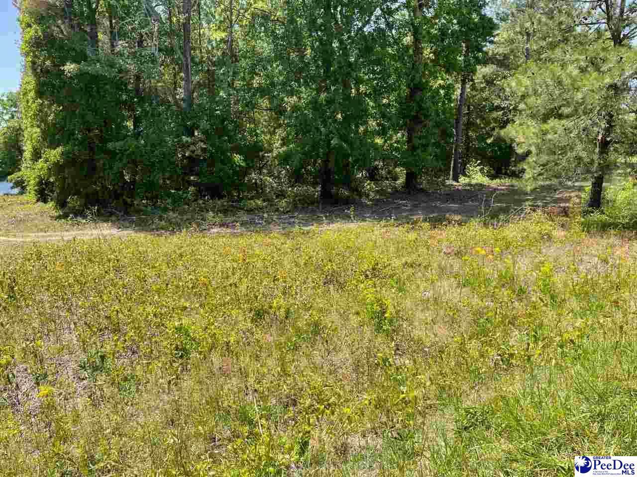 2935 Jackson Rd East - Photo 1