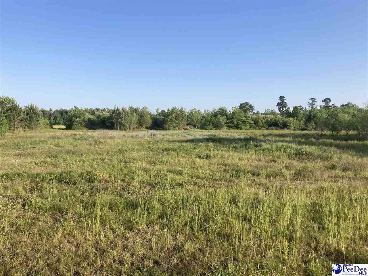 Lot 2 Highway 41 - Photo 1