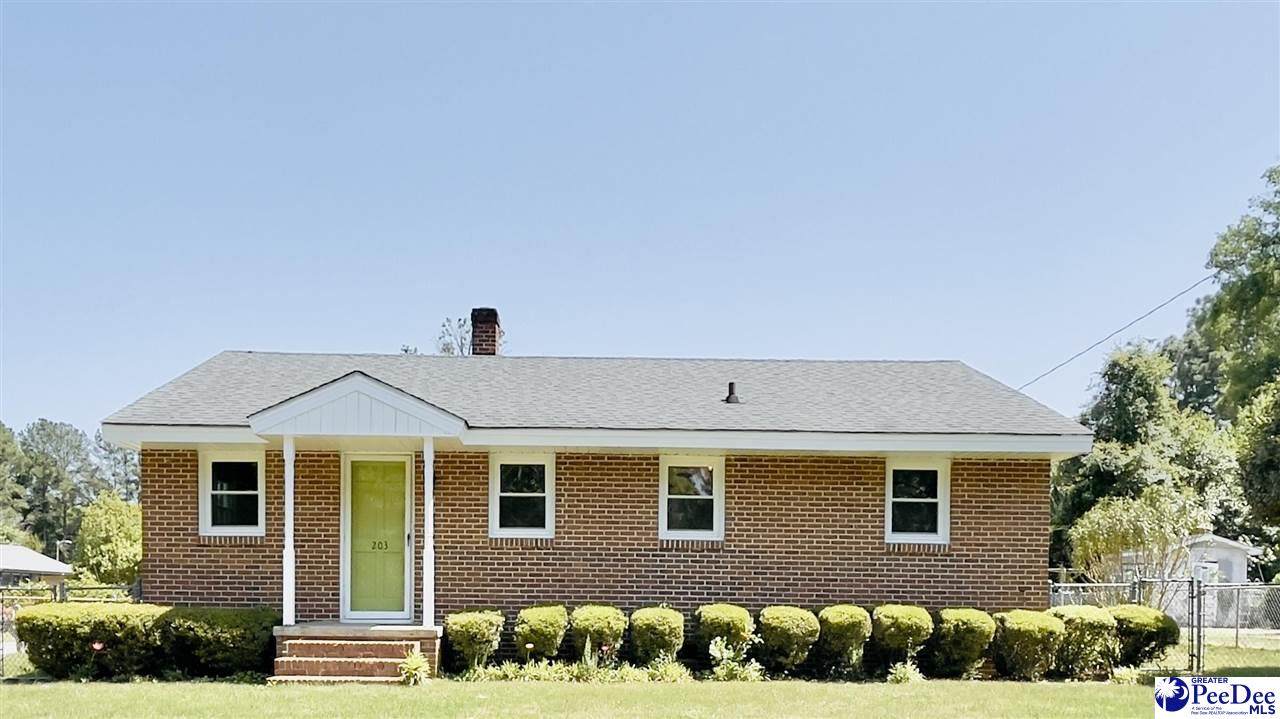 203 Smith Ave - Photo 1