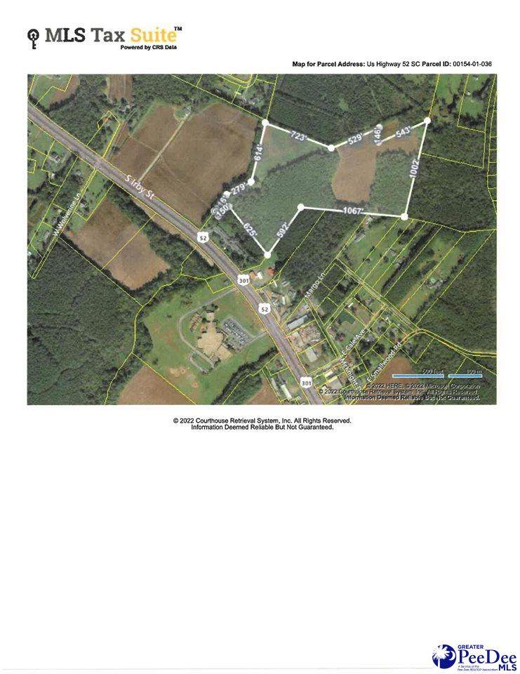 TBD Hwy 301 & 52 South (S. Irby Street) - Photo 1
