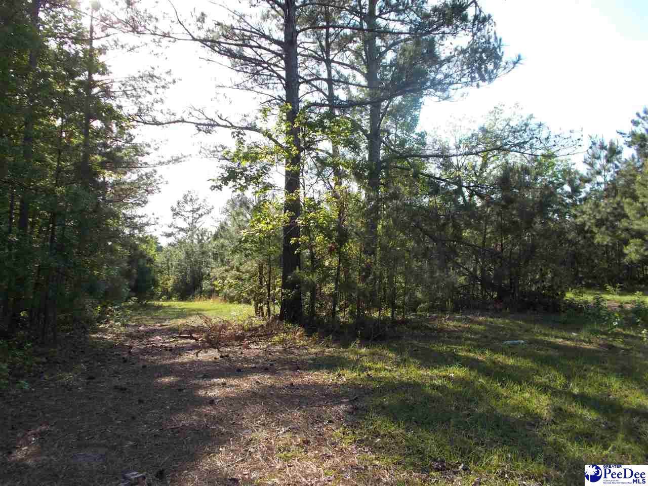 71 Lloyd Rd - Photo 1