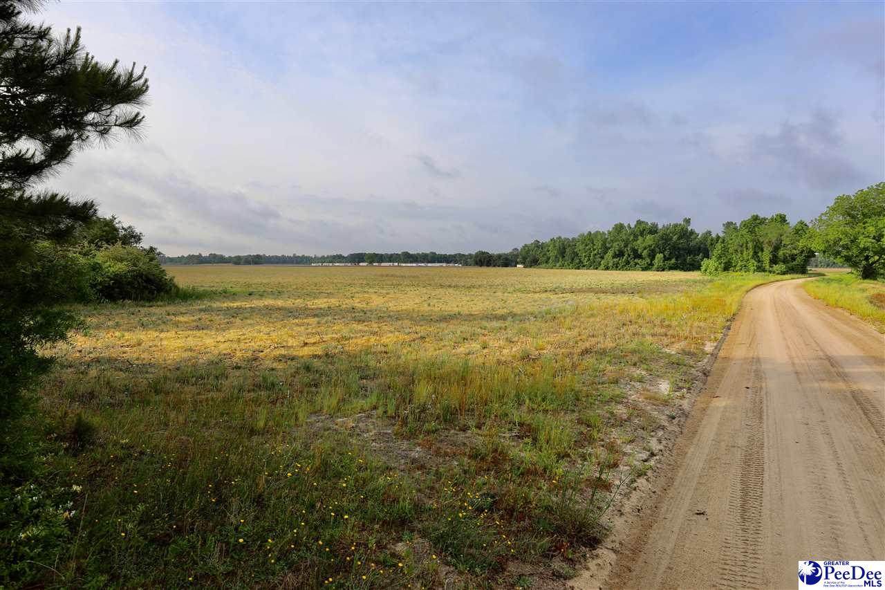 7 Acres Old Lamar Hwy - Photo 1