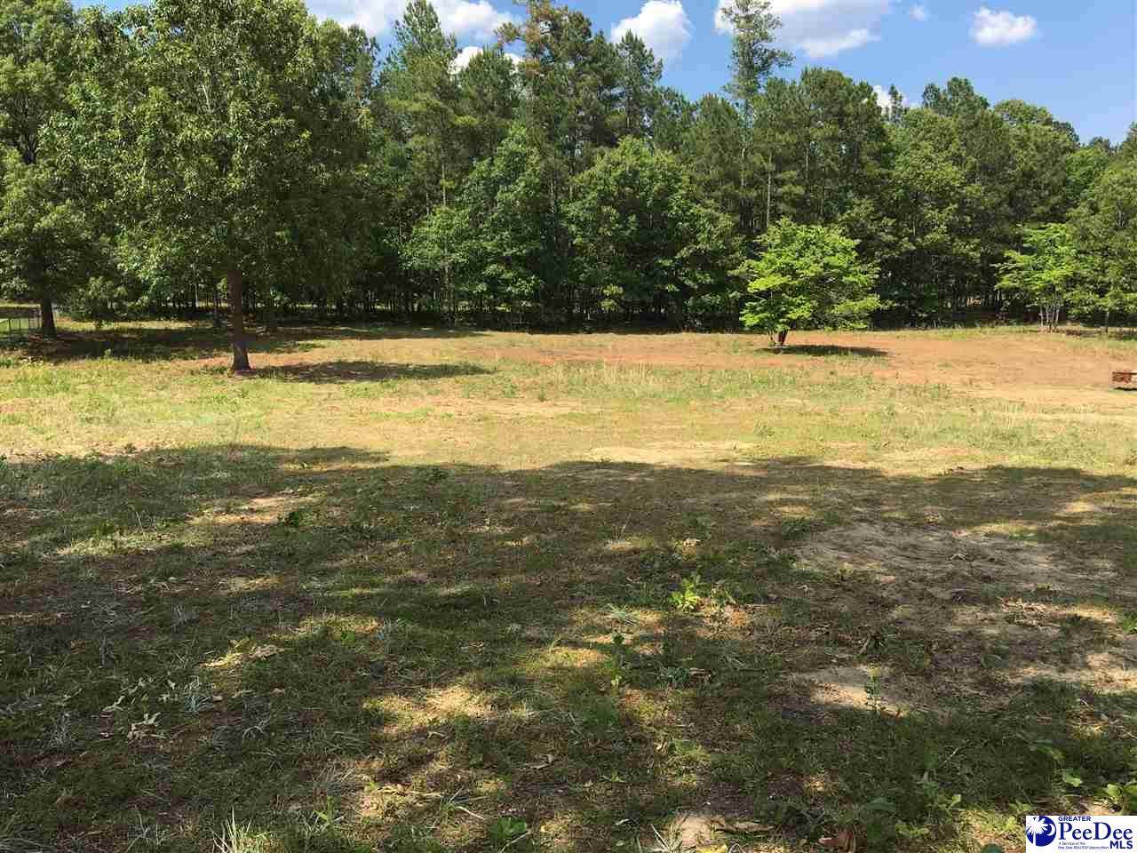Lot 20 Bobwhite Lane - Photo 1