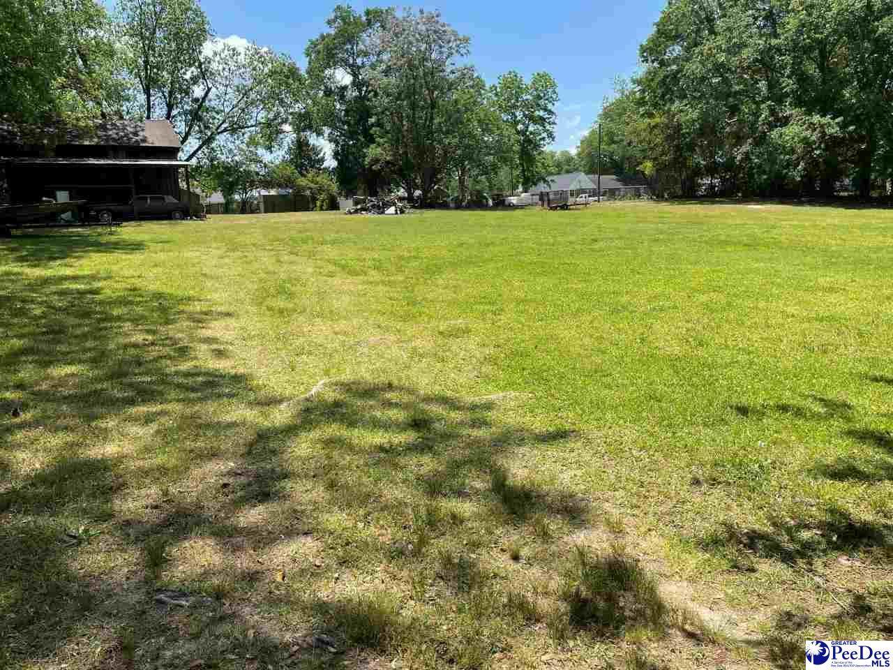 205 Redfearn St. - Photo 1