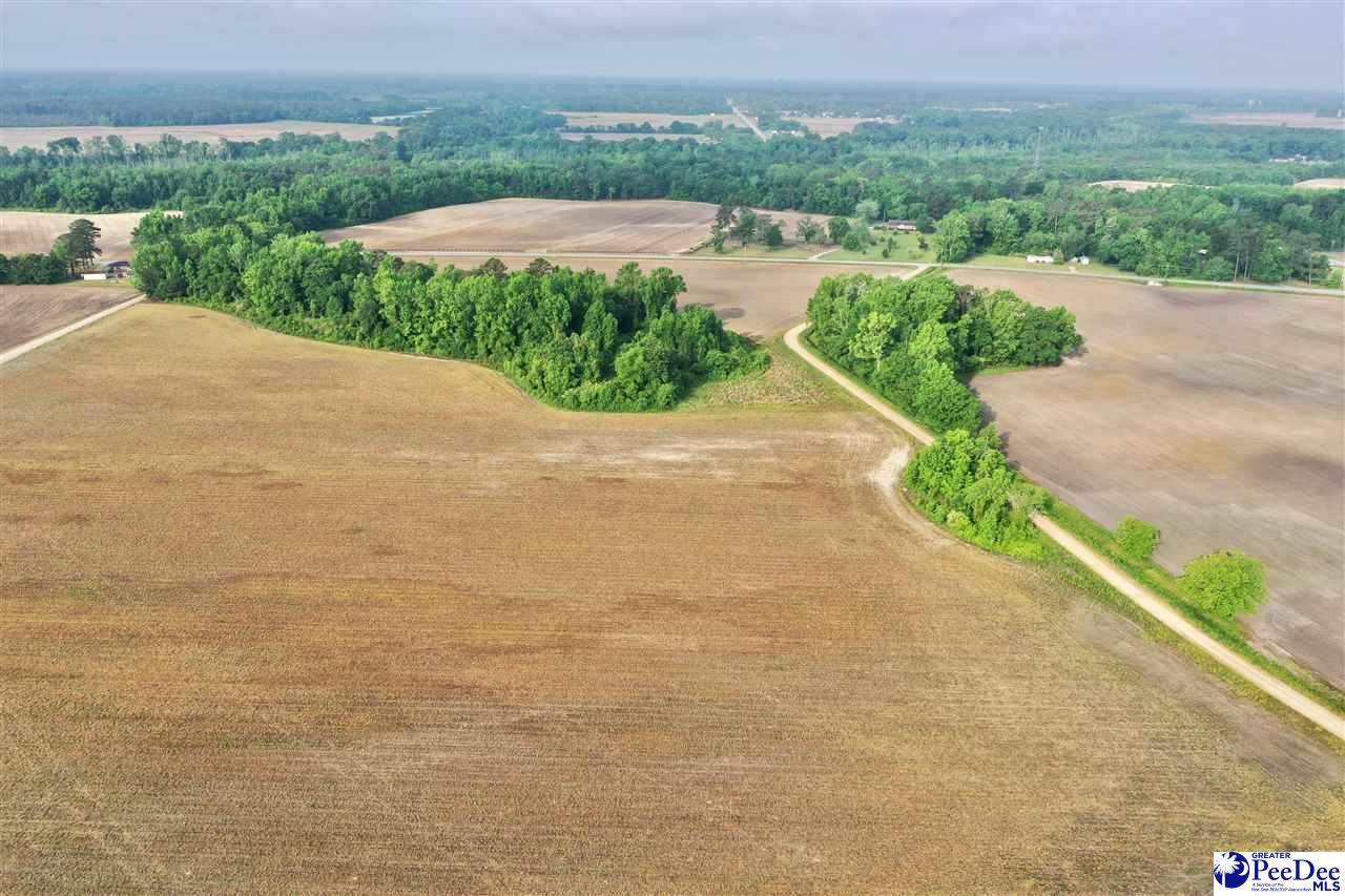 5.10 Acres Wheeler Siding Road - Photo 1