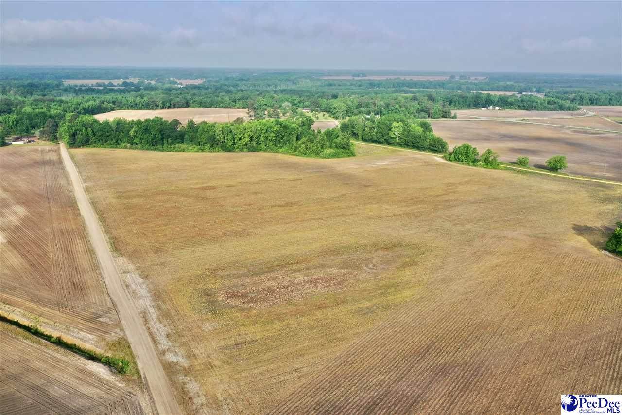 5.5 Acres Wheeler Siding Road - Photo 1
