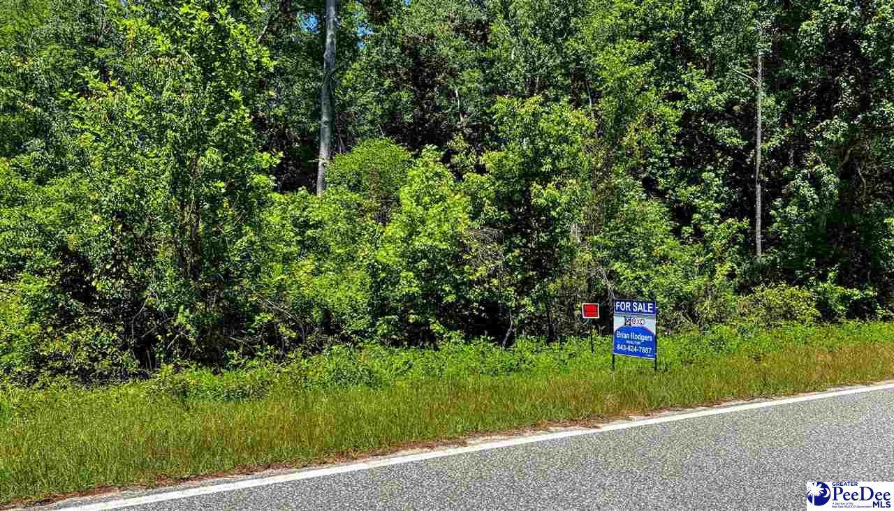 Roy Shaw Rd - Photo 1