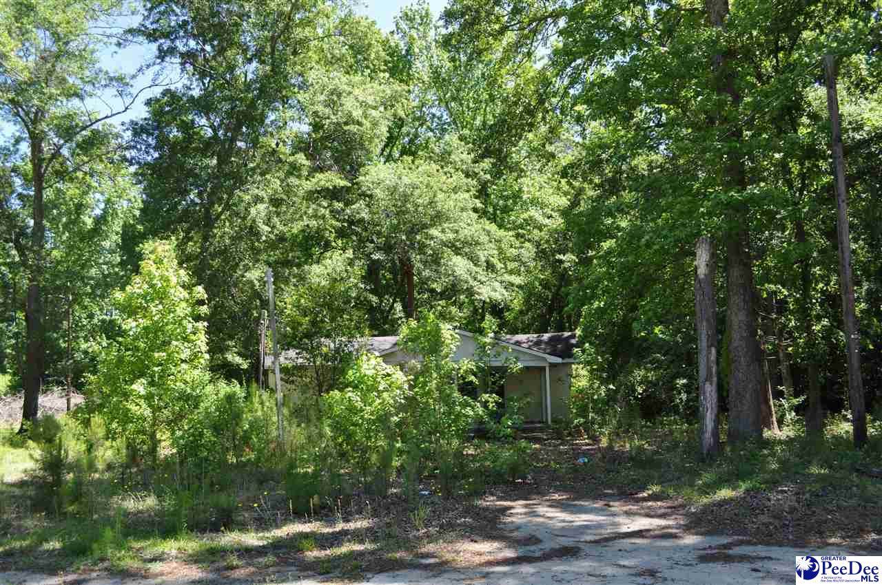 204 American Legion Road - Photo 1