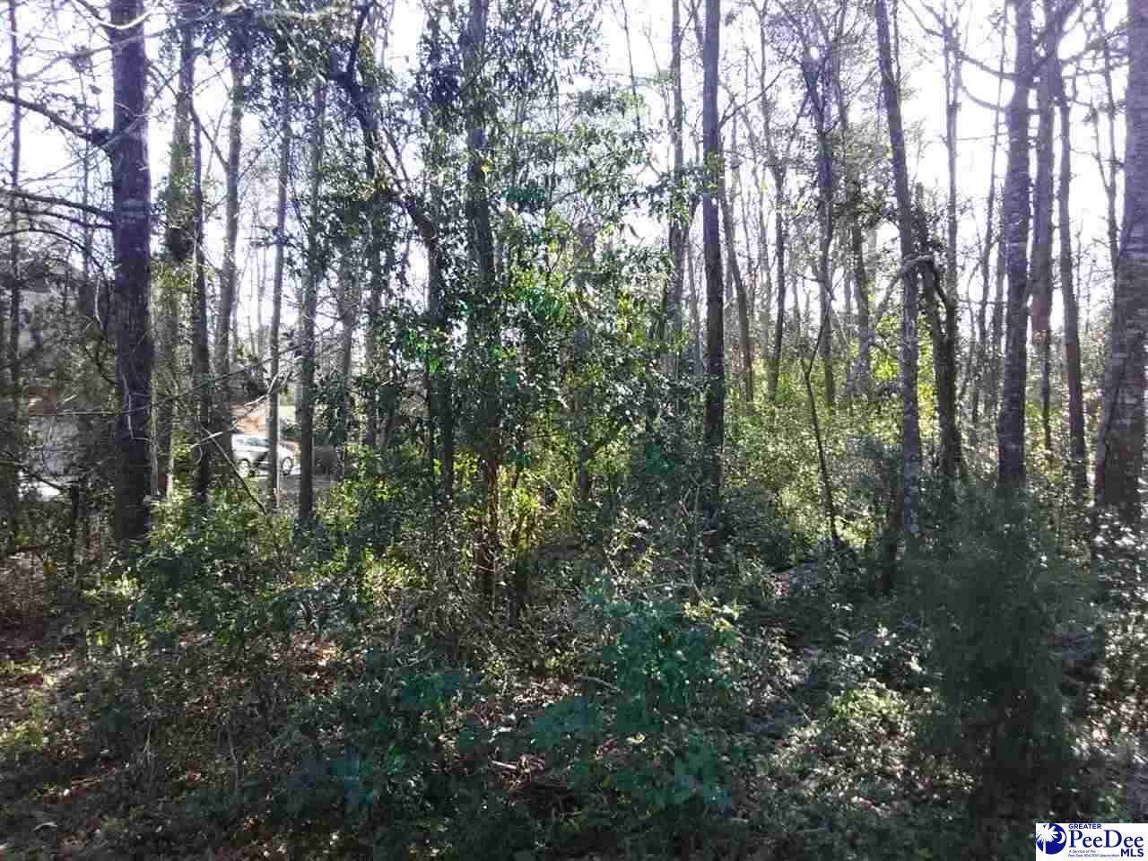 TBD Ruby Rd - Photo 1