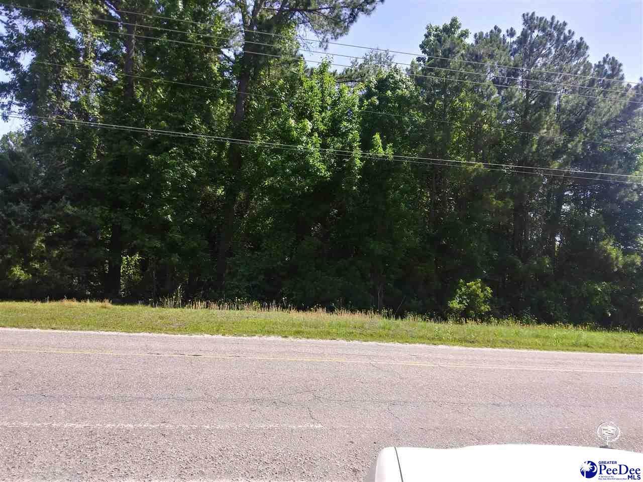 0000 Sumter Street - Photo 1