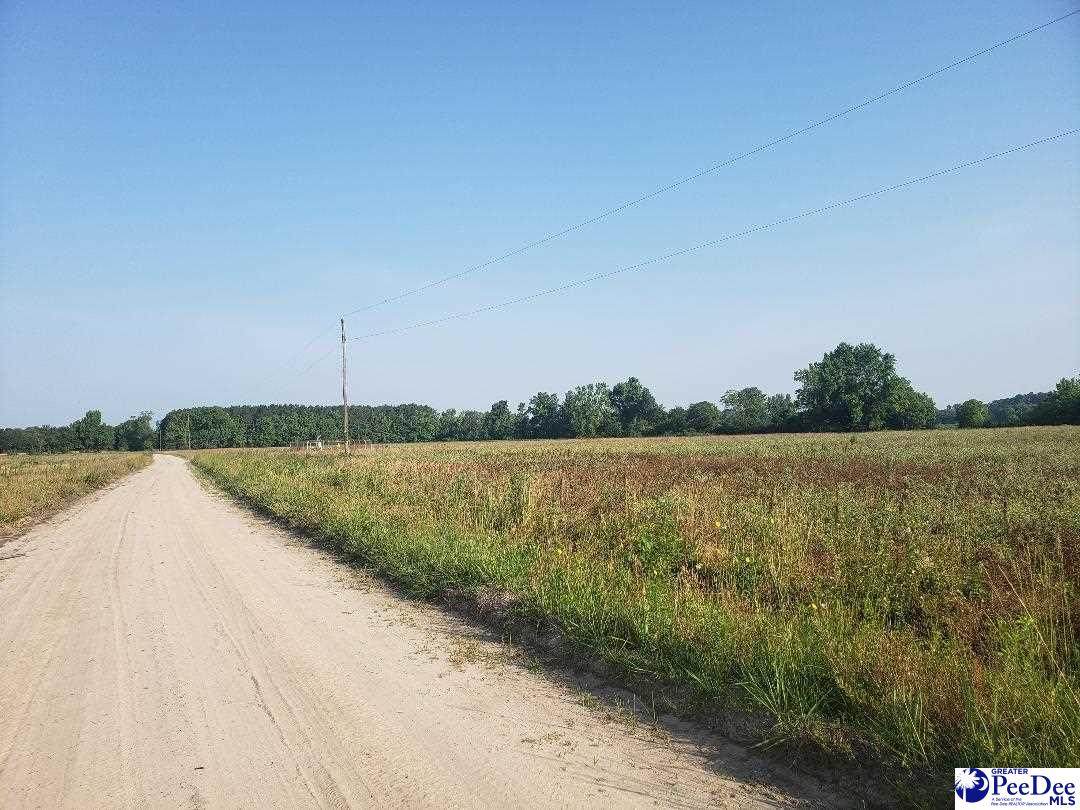 Davis Lane - Photo 1
