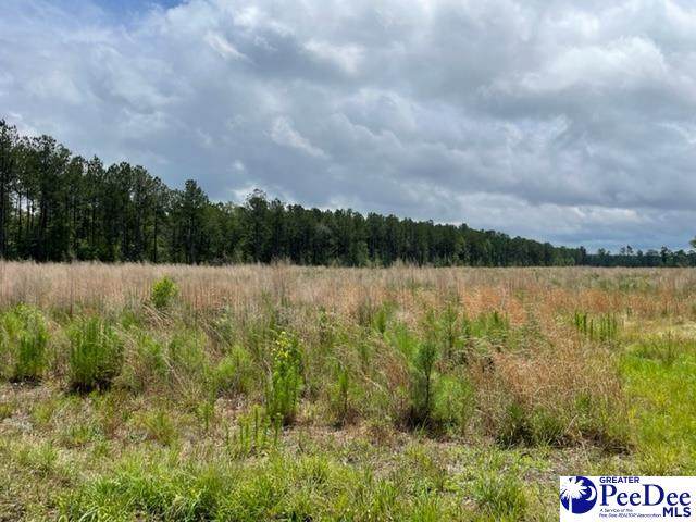 TBD Southwind Road - Photo 1