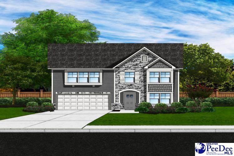 3109 Black Bird Dr (Lot 64) - Photo 1