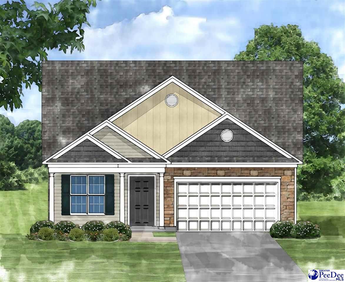 3105 Black Bird Dr (Lot 65) - Photo 1
