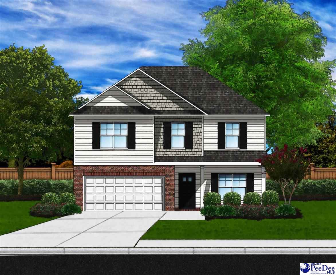 3049 Black Bird Dr (Lot 17) - Photo 1