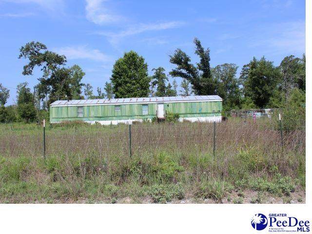 851 Shine Rd. - Photo 1