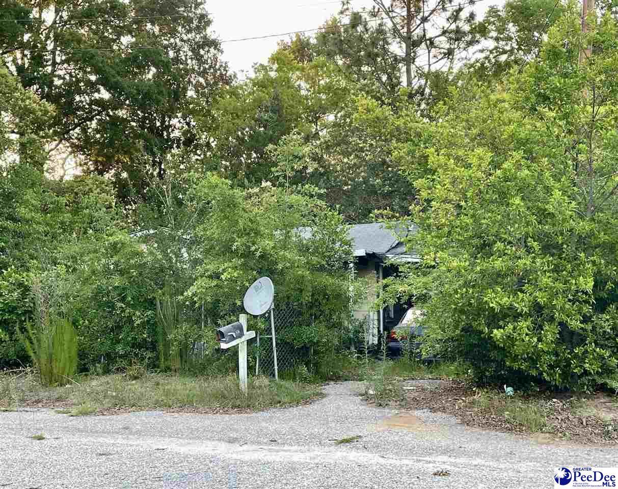 420 Marion Ave - Photo 1