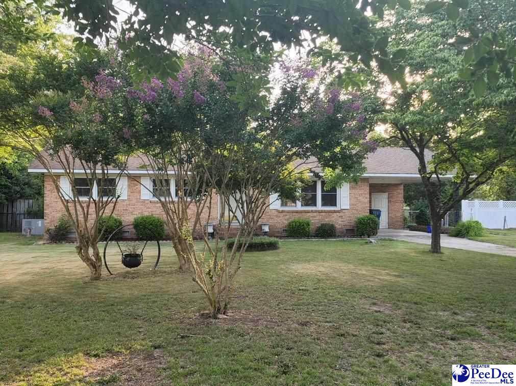 224 Pecan Dr - Photo 1