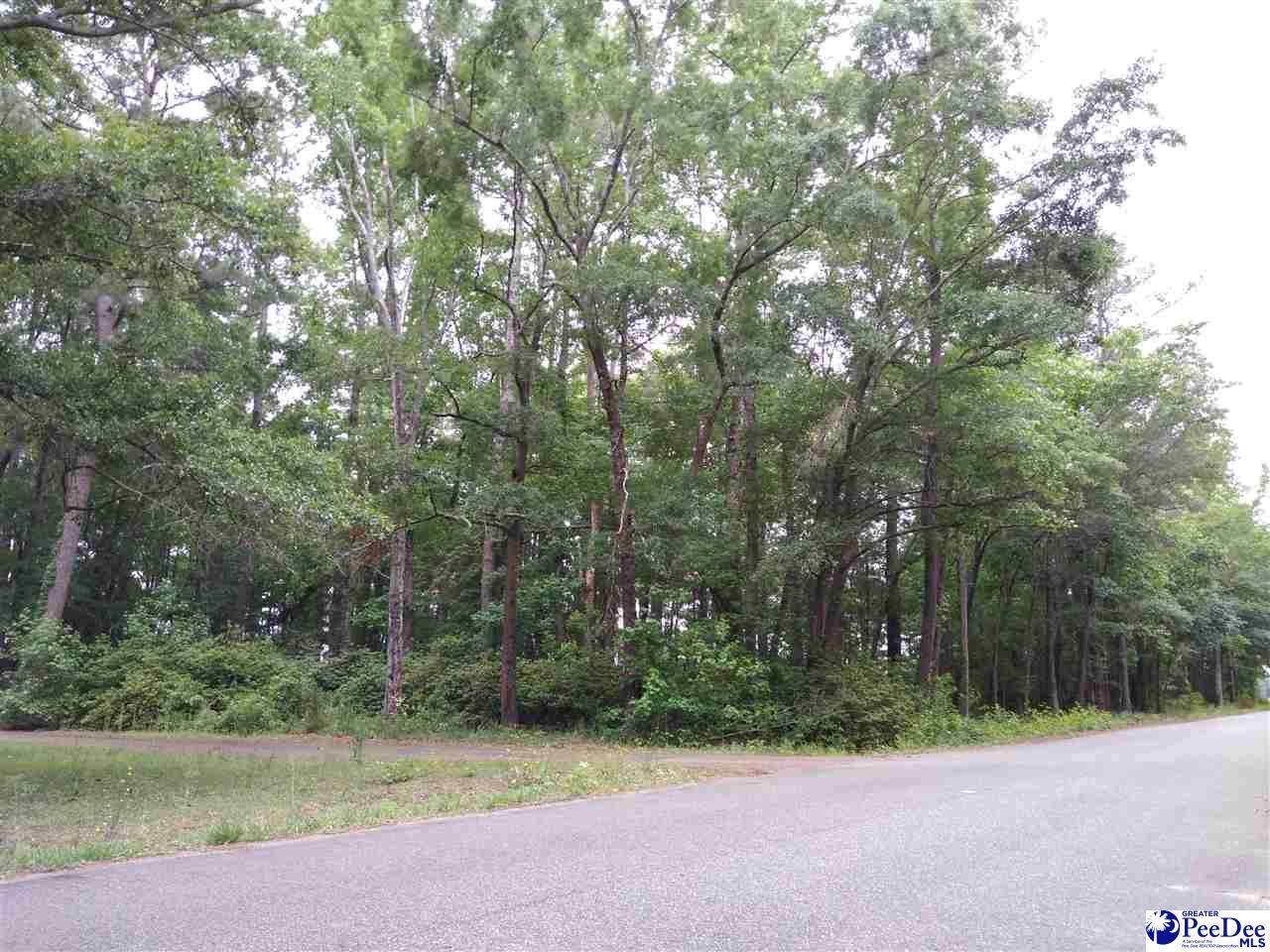 Lot 70 Birch Dr - Photo 1