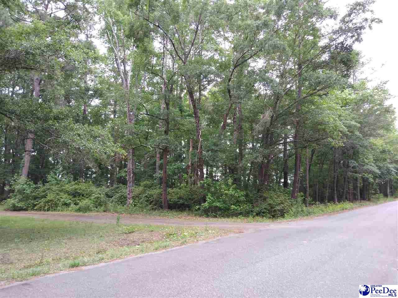 Lot 71 Birch Dr - Photo 1