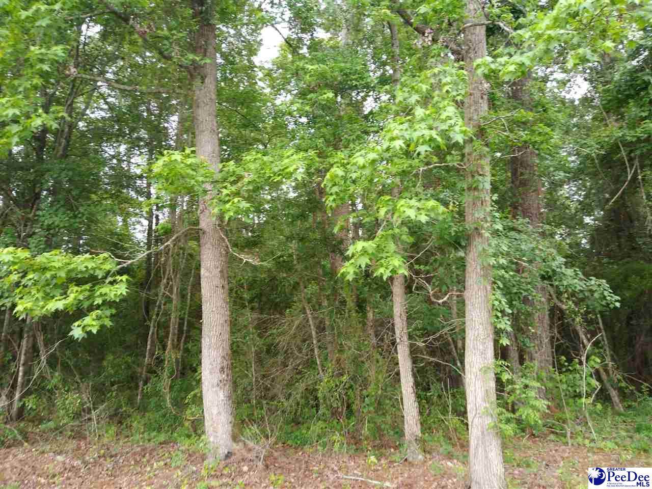 Lot Grooms Drive - Photo 1