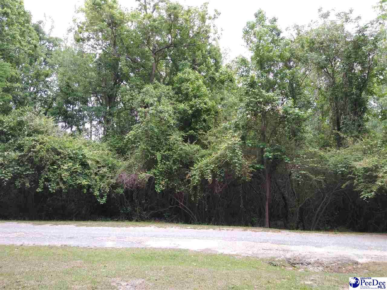 Lot Forest Dr - Photo 1