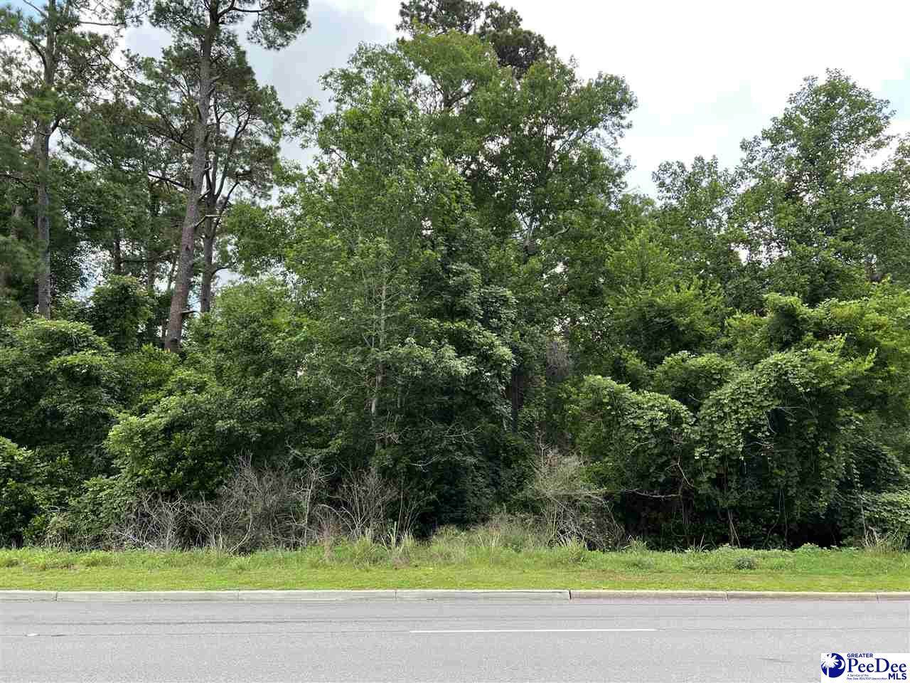 Kingsburg Highway - Photo 1