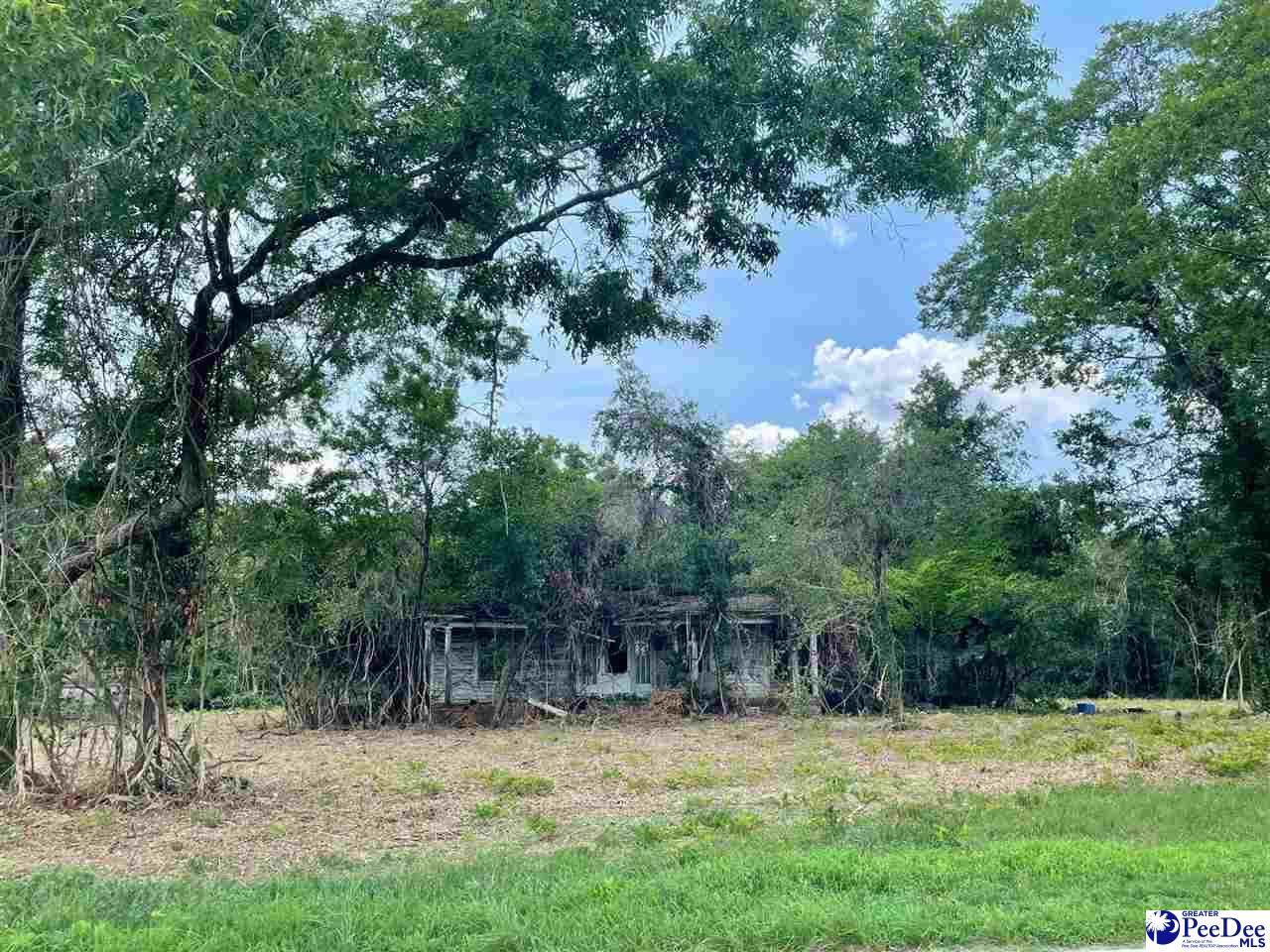 2179 Highway 381 North - Photo 1