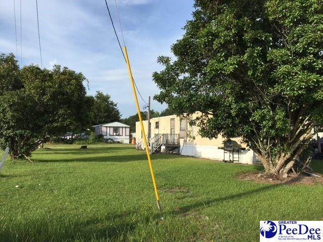 Mission Home Circle(Mission Homes Mhp) - Photo 1