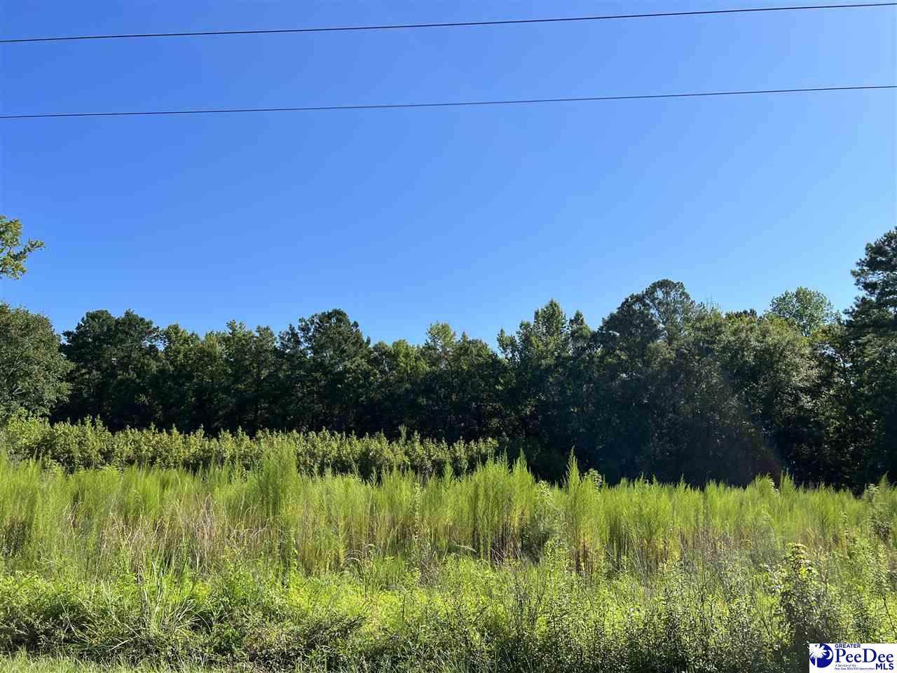 Cowhead Rd - Photo 1