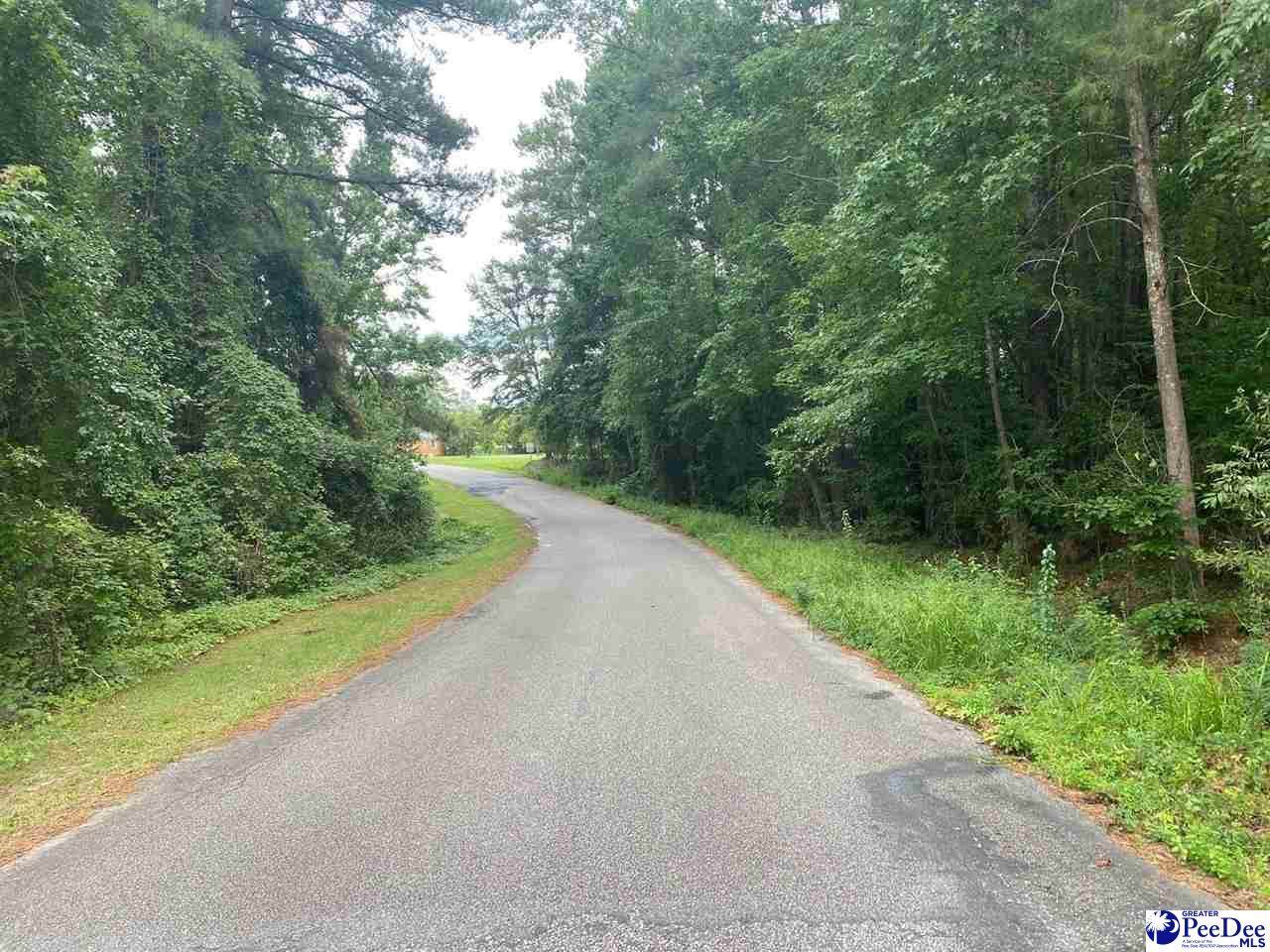 TBD Timberlake Drive - Photo 1