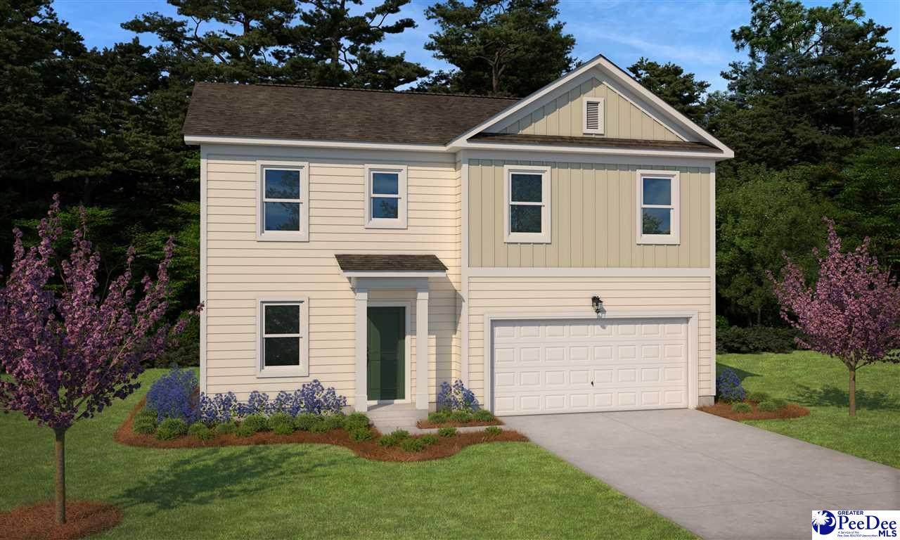 3704 Sunflower Bluff Dr. - Photo 1