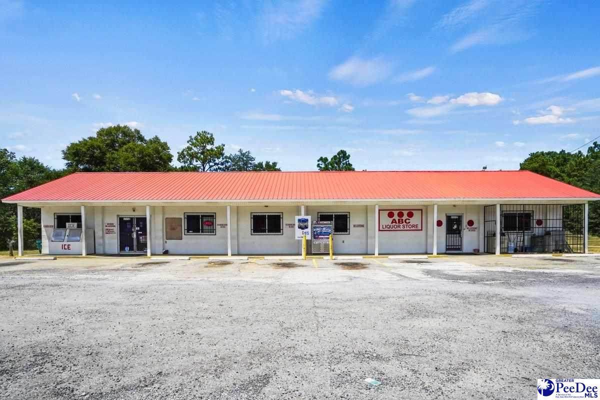 3316 Governors Williams Highway - Photo 1