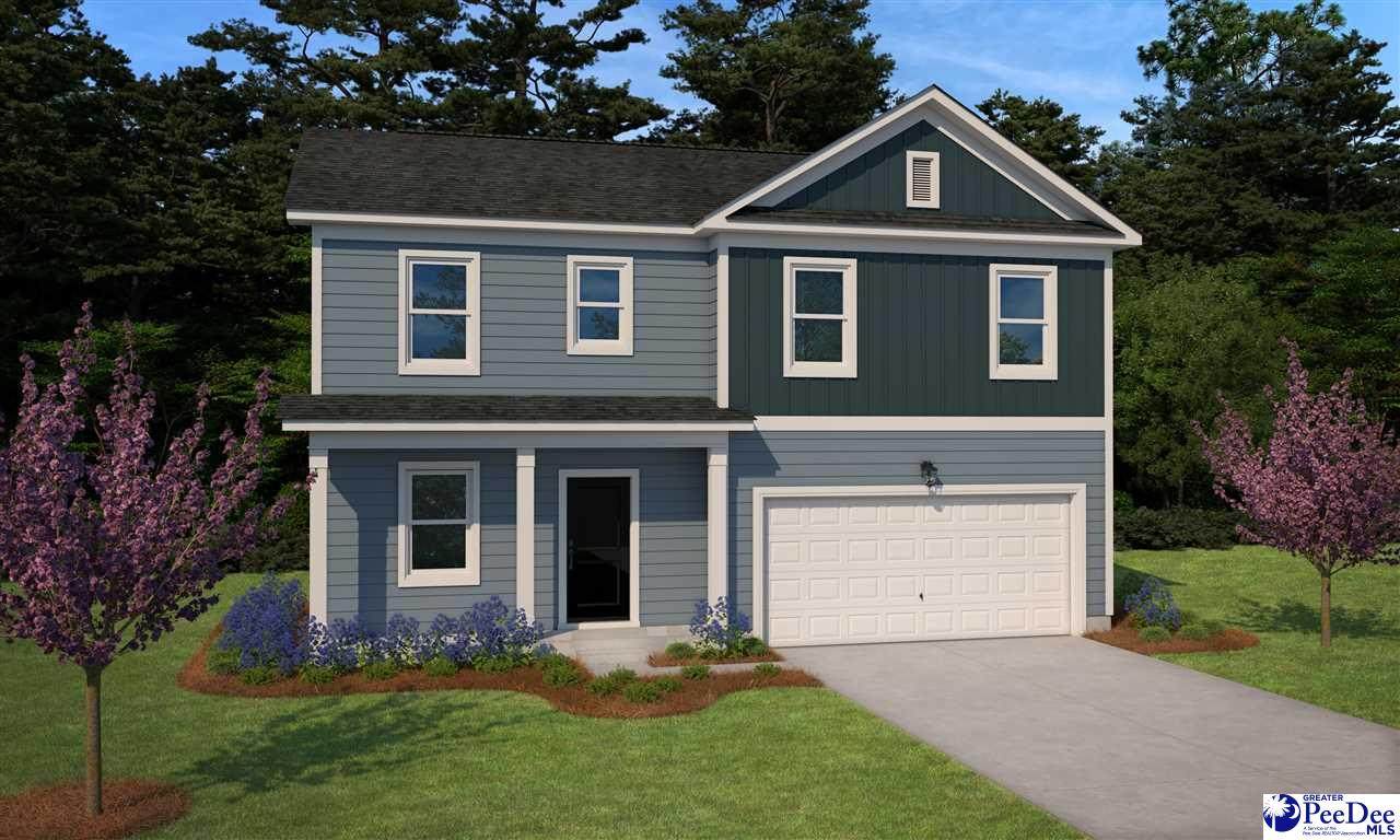 1057 Summer Duck Loop - Photo 1
