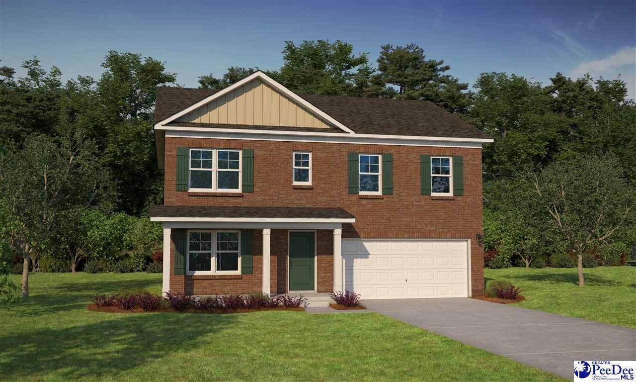 1068 Summer Duck Loop - Photo 1