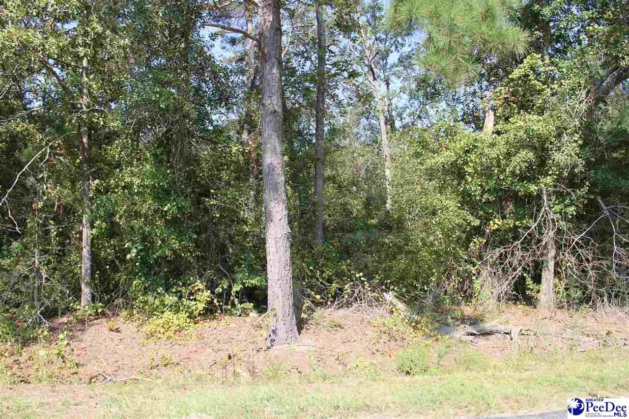 000 tract 3 Roling Road - Photo 1