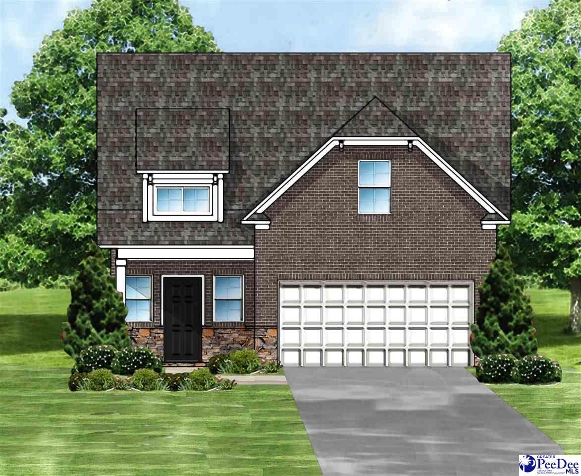 1021 Summer Duck Loop - Photo 1