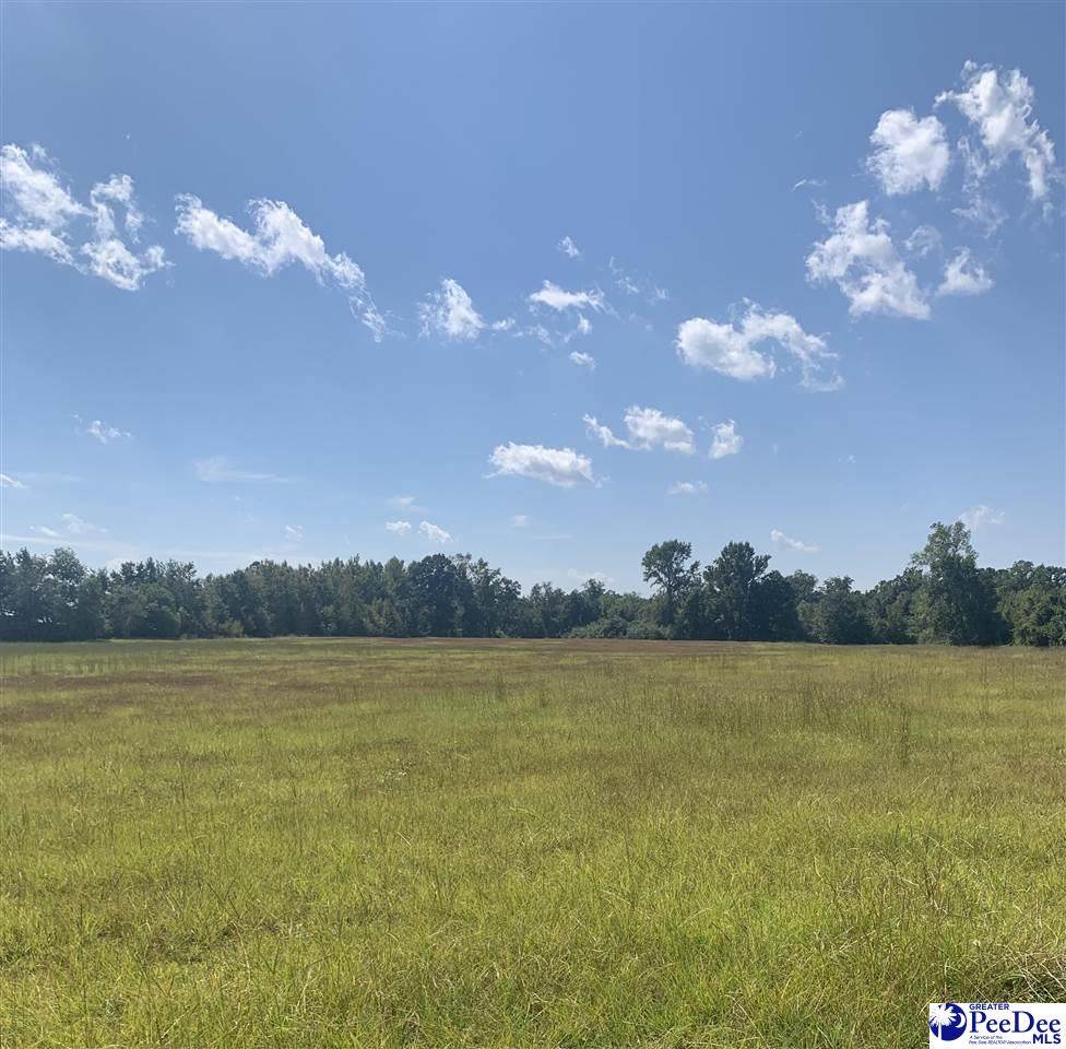 3699 Hill Rd - Photo 1