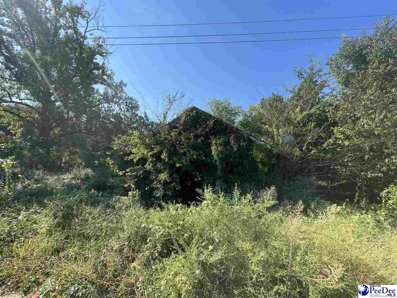 103 Cedar Ridge Rd - Photo 1