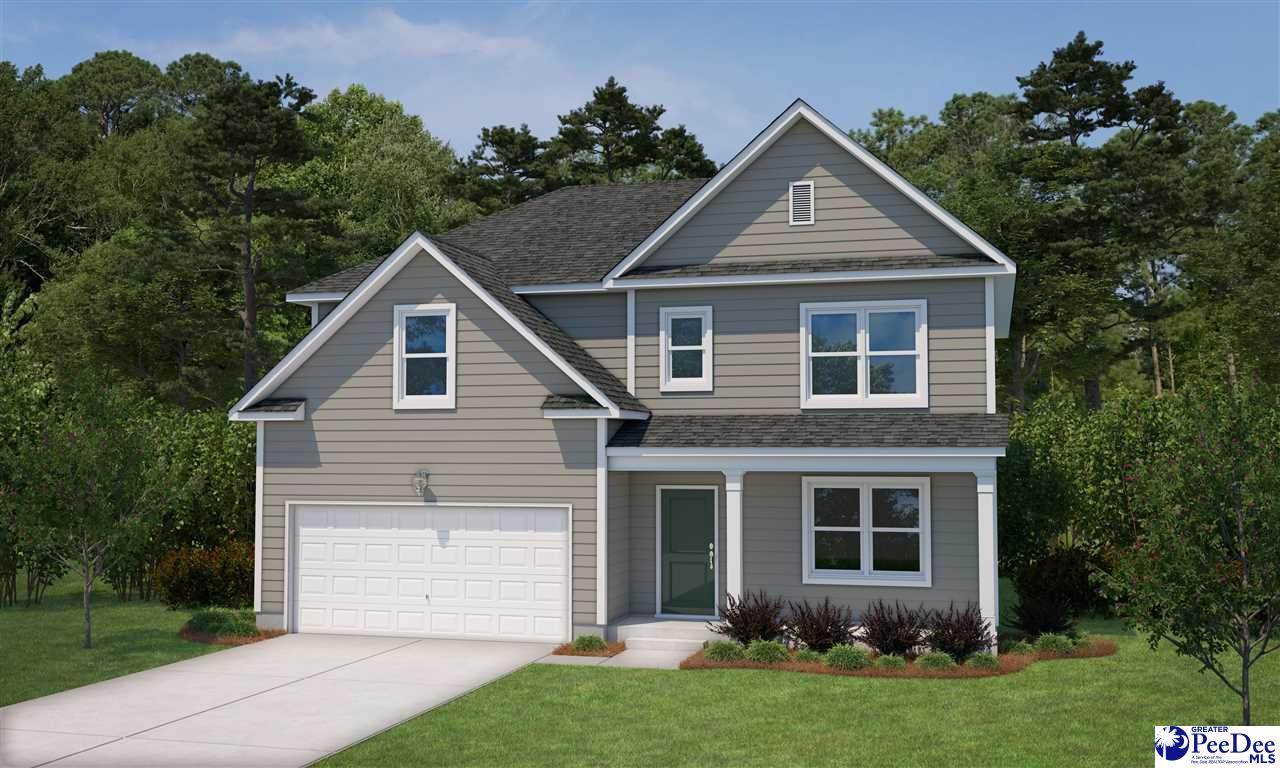 1028 Summer Duck Loop - Photo 1
