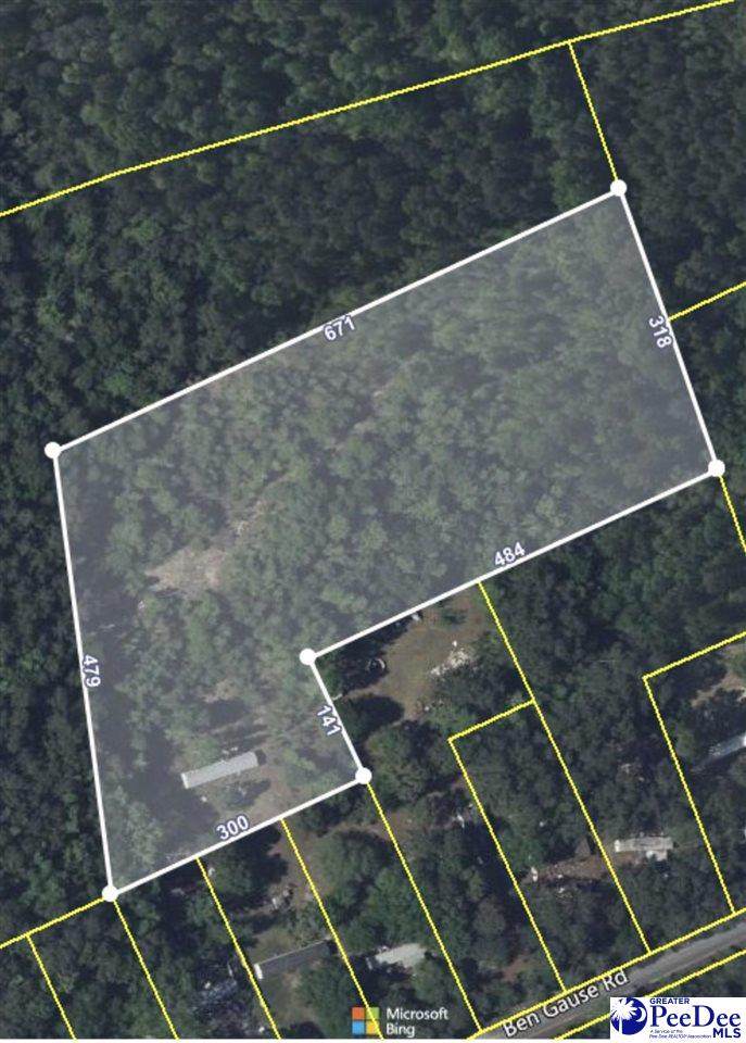 TBD Ben Guase Rd - Photo 1